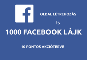 facebook-100-like